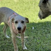 Photo of Sasha