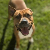 Photo of 🍄 Marley 5313 🍄