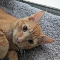 Photo of Hunter