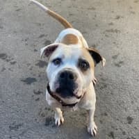 Photo of Buddy Xenos