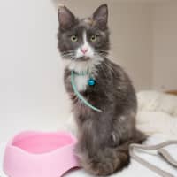Photo of Storm