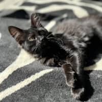 Photo of Nox   Located In Lower Plenty