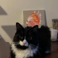 Photo of Willow And Jasper