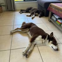 Photo of Tippy & Coco