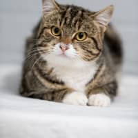 Photo of Winston