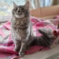 Photo of Jazz