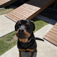 Photo of Susie 