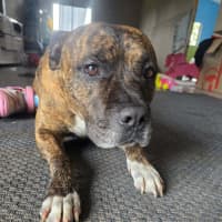 Photo of Zeus 💜