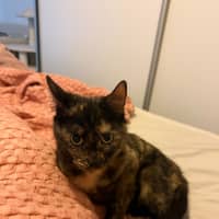 Photo of Tilly
