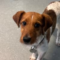 Photo of Clarence Von Wigglebottom
