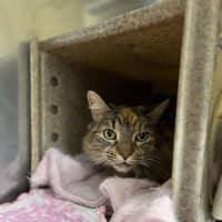 Photo of Matilda