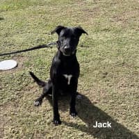 Photo of Jack