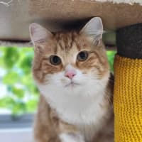 Photo of 🐠 Nemo 5314 🐠