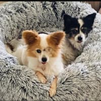 Photo of Zara & Zeke