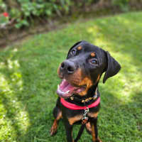 Photo of Murphy