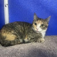 Photo of Missy