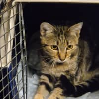 Photo of Autumn   Located In Templestowe