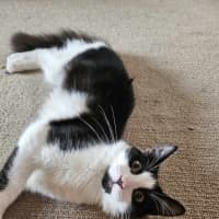 Photo of Sesame