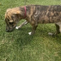 Photo of Zara