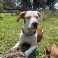 Photo of Maizie