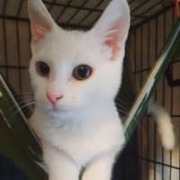Photo of Elsa