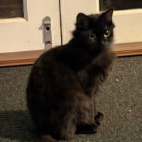 Photo of Thunder And Storm