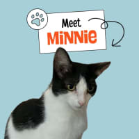 Photo of Minnie