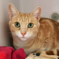 Photo of Leo Rsuk012651