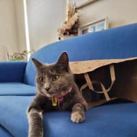 Photo of Polly