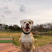 Photo of Meekah