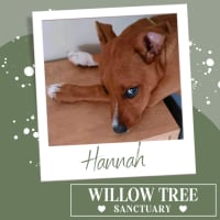 Photo of Hannah