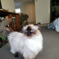 Photo of Sklya & Coco