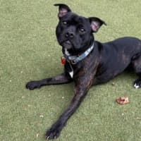 Photo of Turbo