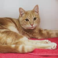 Photo of Teddy Sua012906