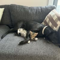 Photo of Tyrone & Miranda