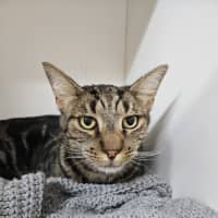 Photo of Squiggs