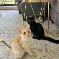 Photo of Kevin And Shadow