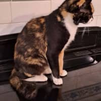 Photo of Agnes