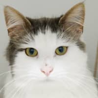 Photo of Hamish