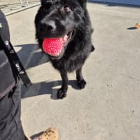 Photo of Archie 💘