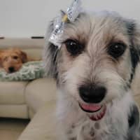 Photo of Missy Muddle