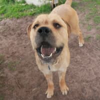 Photo of Apollo