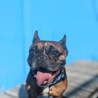 Photo of Axle