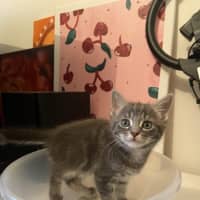 Photo of Tabitha