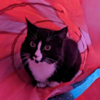 Photo of Sparkle 