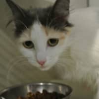 Photo of Leela