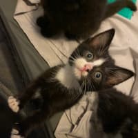 Photo of Miruku (Was Rice Bubble)