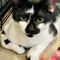 Photo of Bailey Junior