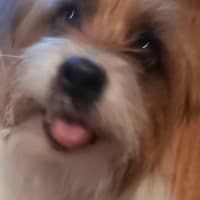 Photo of Bolt O'cleary