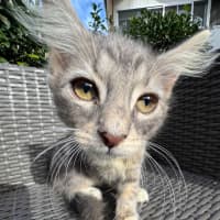 Photo of Jiji